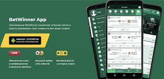 Explore the World of Online Betting with BetWinner BF