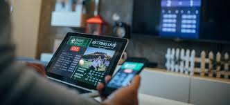 Top Sites With Monthly Loyalty 16